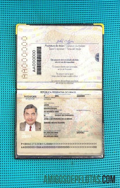 Passaporte Brasil Versão 2 (2019 Presente) Photo Look baixar para verificação